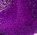 Purple Glitz