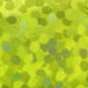 00245 fluo yellow
