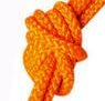 02419 Orange