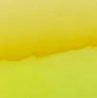 02478 yellow