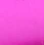 02603_Fuchsia
