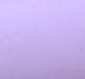 02605_Lilac