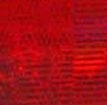 01628 Red