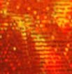 01966 Orange