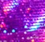 02152 Fuchsia