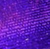 02227 Violet