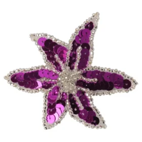 fuchsia - silver