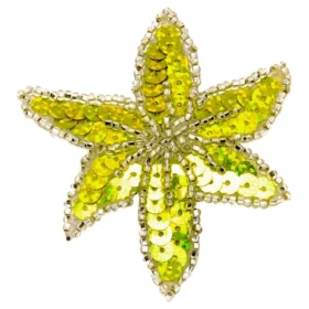 yellow - silver